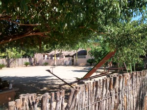 Vista de patio y palapa de casa donde pernoctaba el Mayito