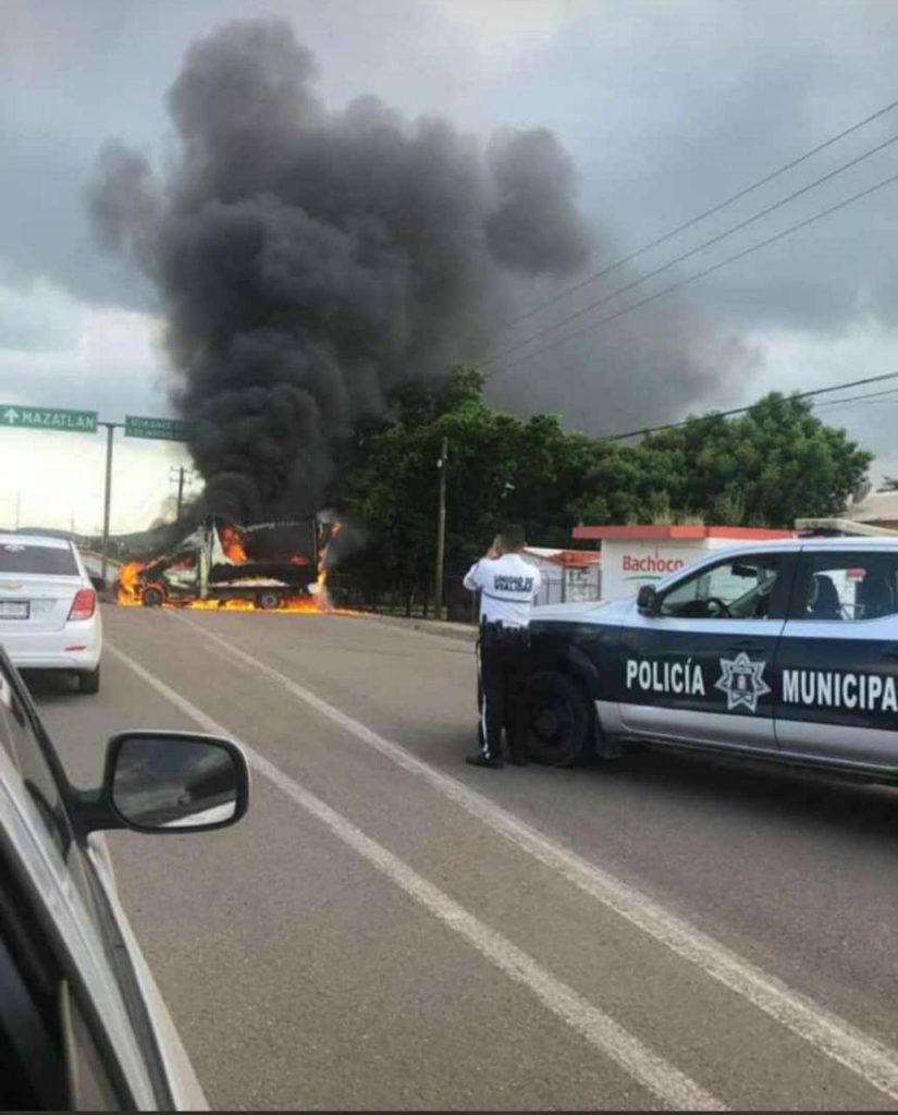 73097184_1134715280051201_6419361204111671296_n