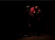 ‘Brújula, Flamenco Dinámico’ inicia este viernes actividades presenciales en Culiacán